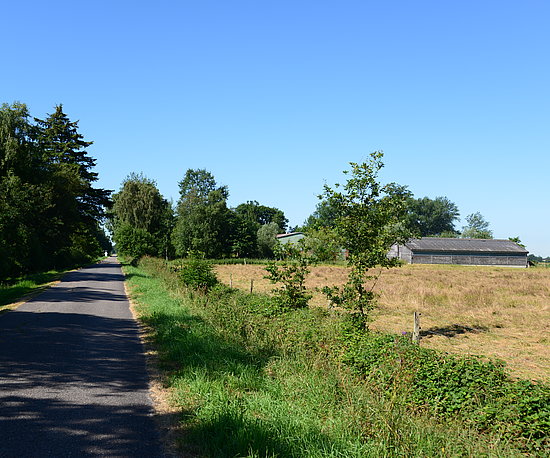 Straße in Tackesdorf